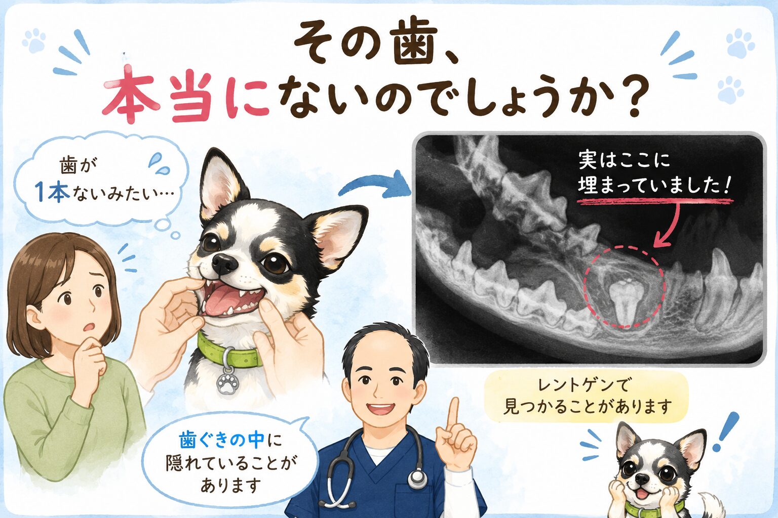 愛犬の歯、足りないままになっていませんか？