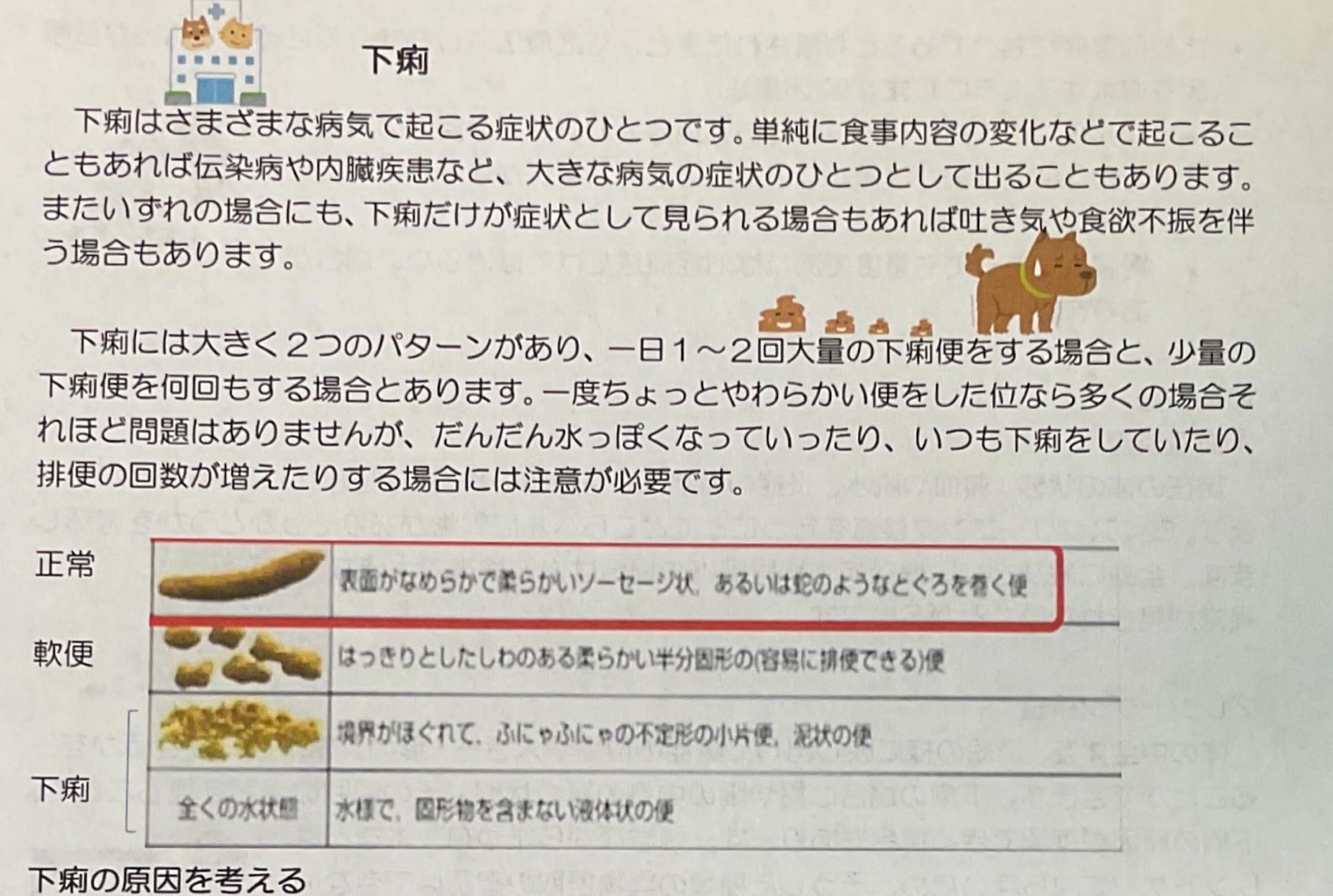 消化器症状は、動物病院に来院する原因としては比較的良くみることができます