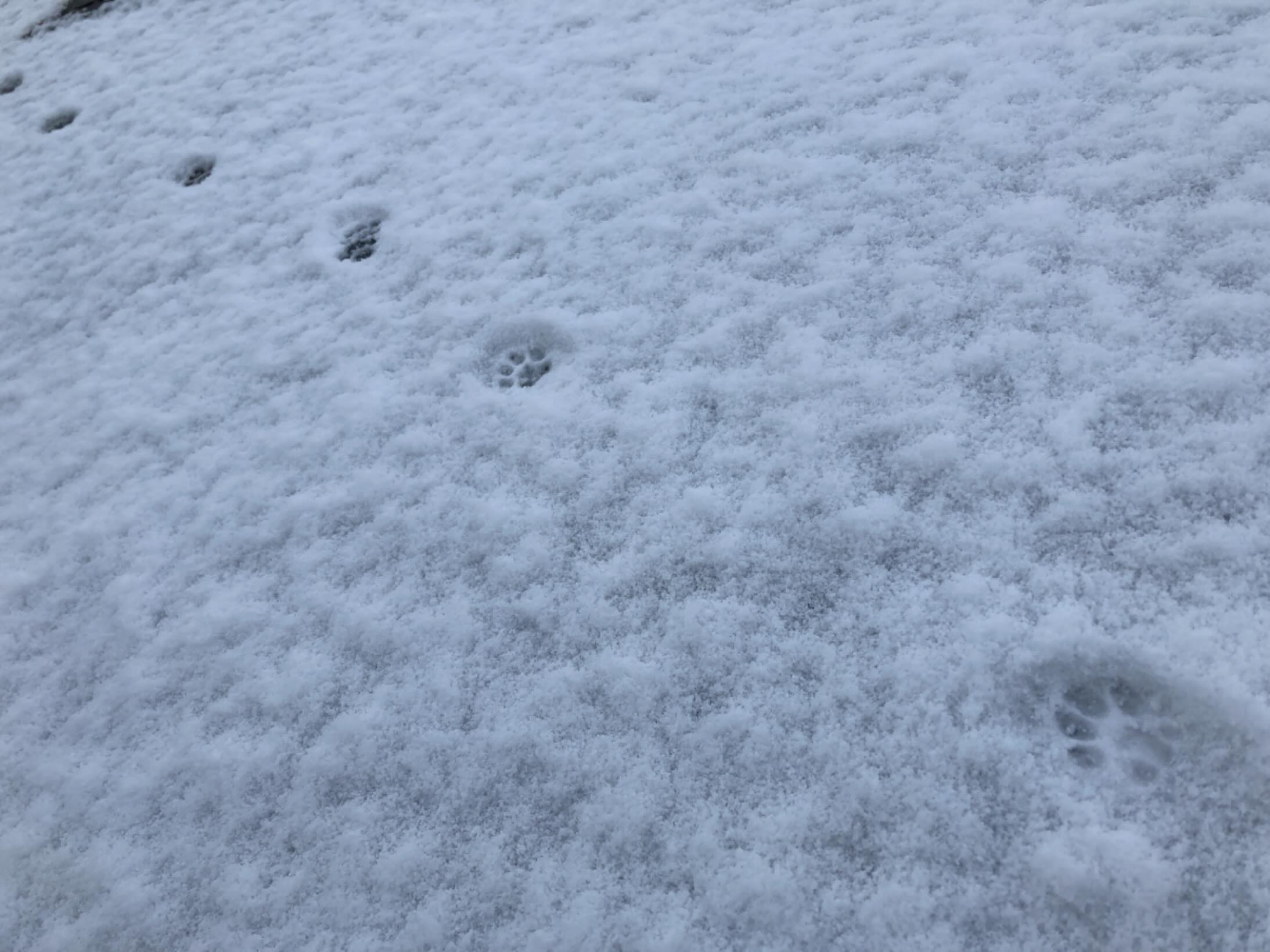最近、一気に寒くなってきましたね
