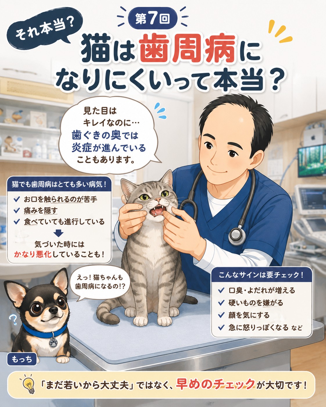 【それ本当？】 第7回 猫は歯周病になりにくいって本当？ ⸻ 「猫は歯周病になりにくいって聞いたから安心」 そう思っていませんか？🐱 実は猫でも 👉 歯周病はとても多い病気です