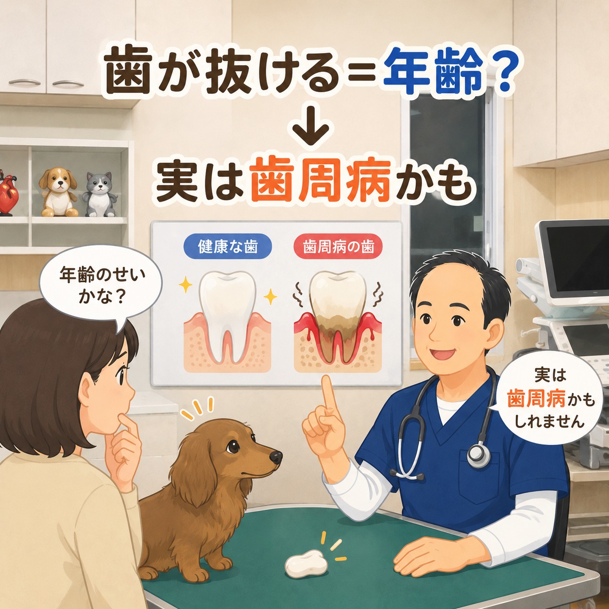 【それ本当？】 歯が抜けるのは年齢のせい？ 実は、犬や猫の歯は年齢だけで抜けることはほとんどありません