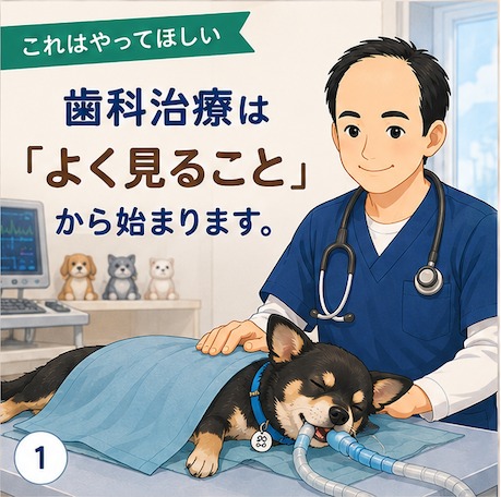 【これはやってほしい】歯科治療は「よく見ること」から始まります
