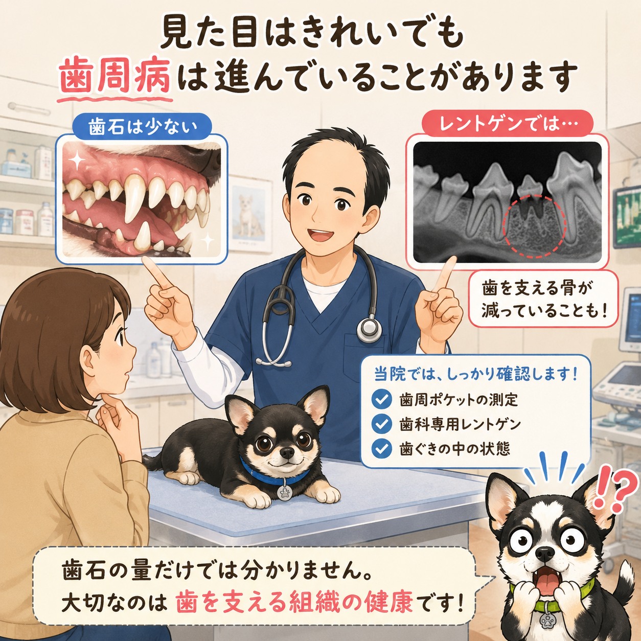 🟨 獣医師が解説 見た目はきれい