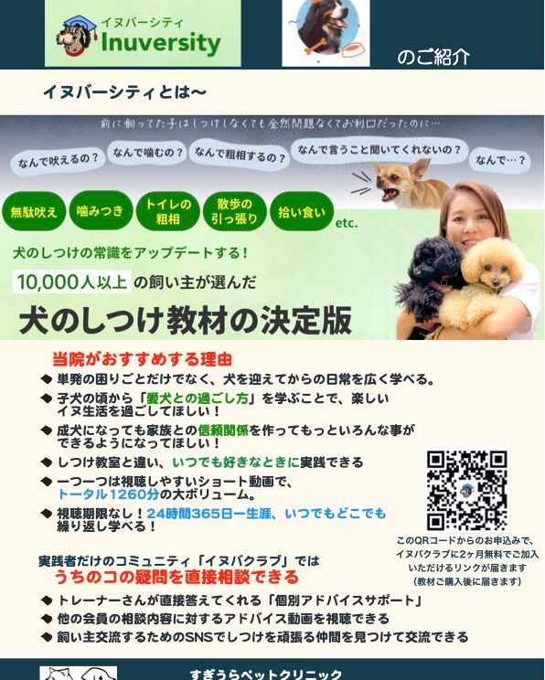 【子犬を迎えたばかりの飼い主さまへ】 子犬期は、心も体も大きく変化する時期です